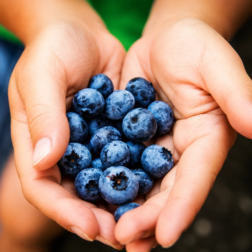 Bluberries