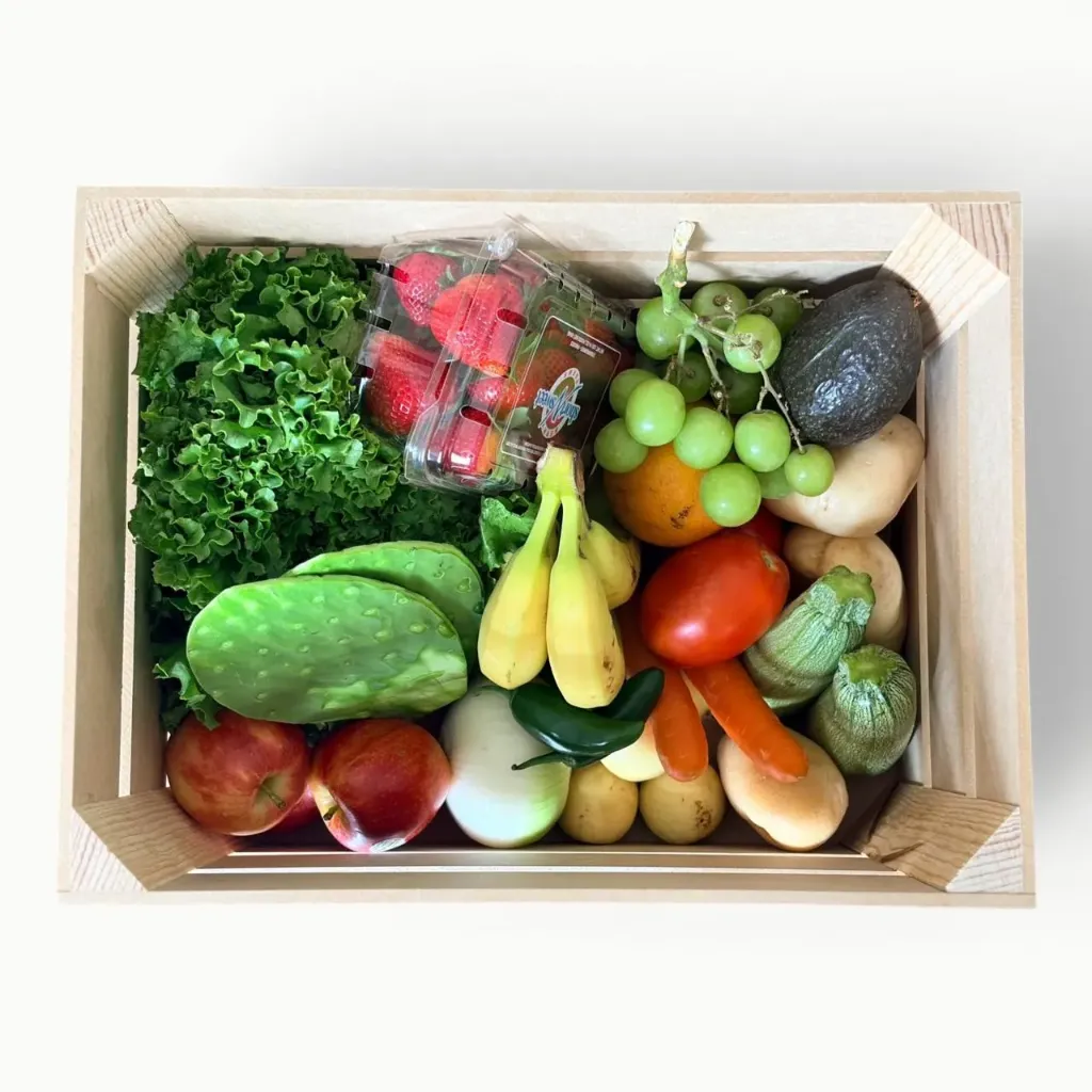 CAJA PLUS