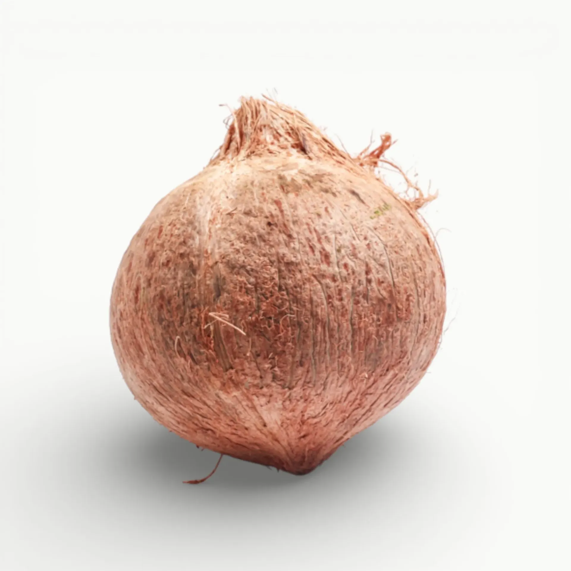 [FR103] COCO