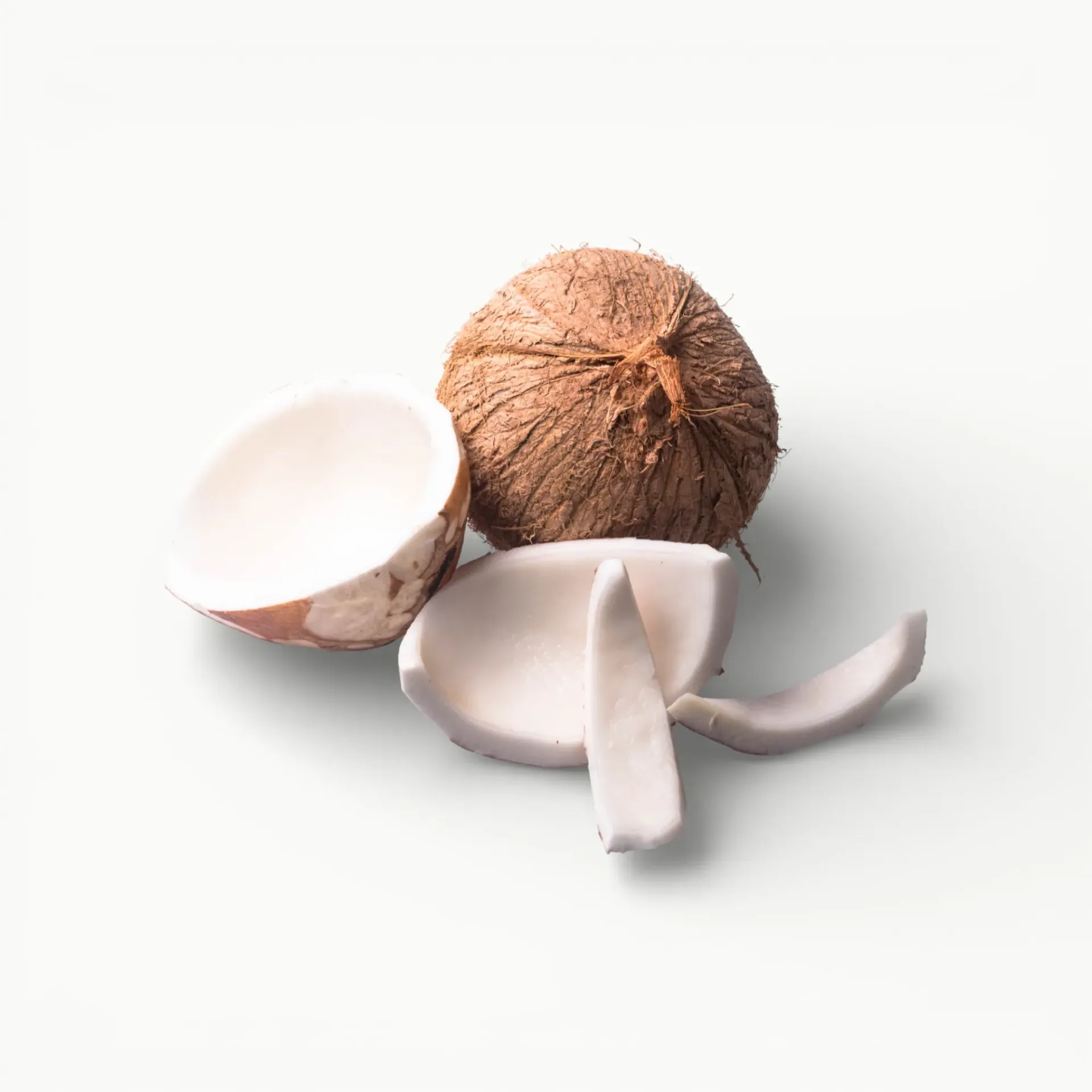 [FR007] COCO PELADO