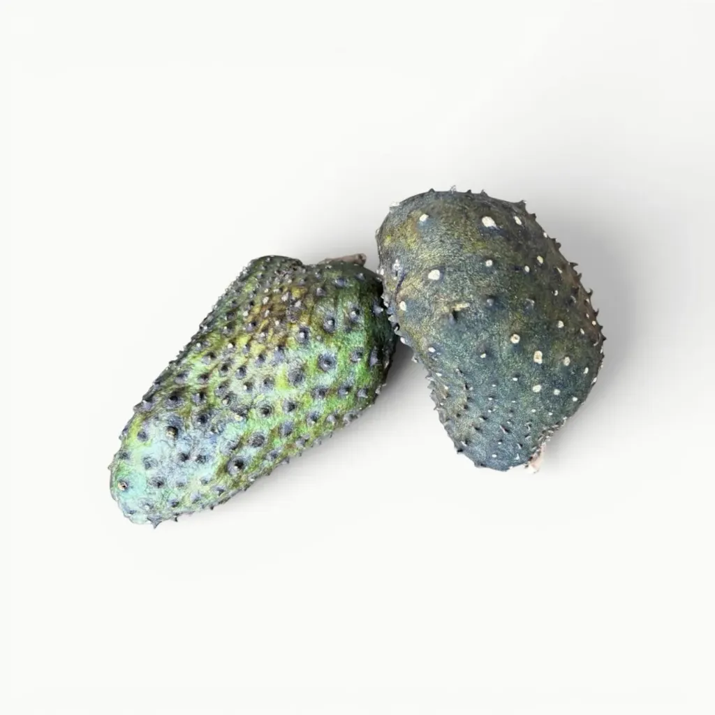 [FR017] GUANABANA