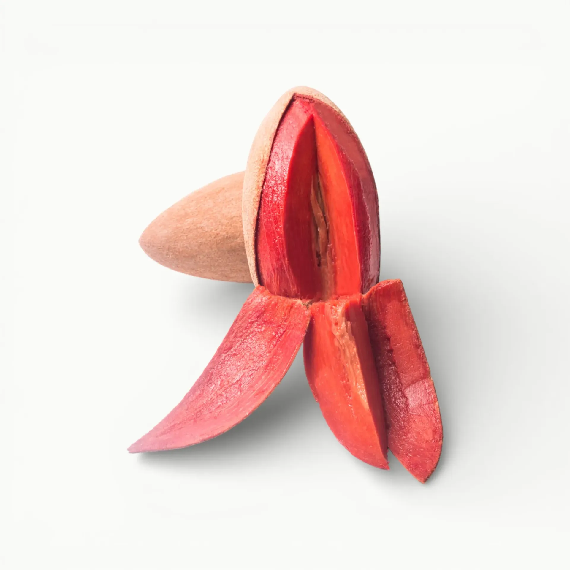 [FR031] MAMEY SELECCIONADO