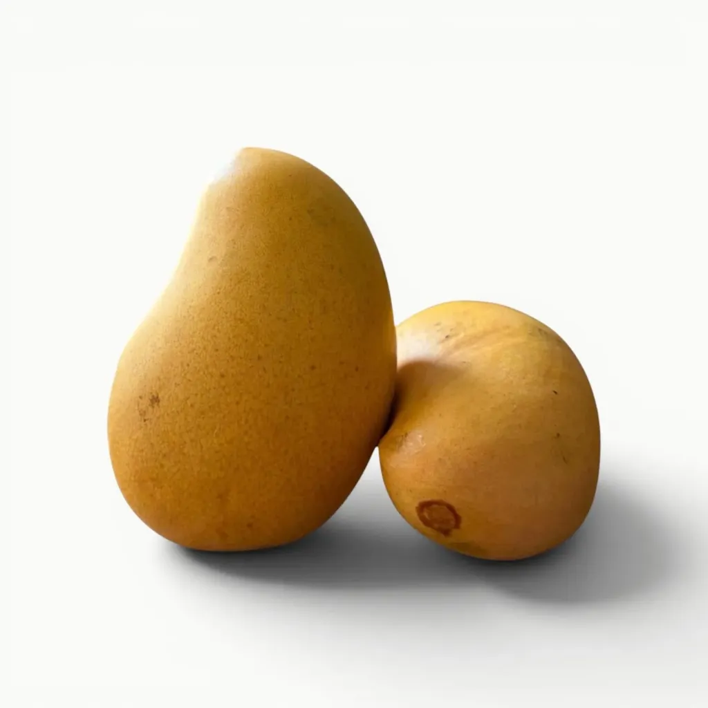 [FR033] MANGO ATAULFO