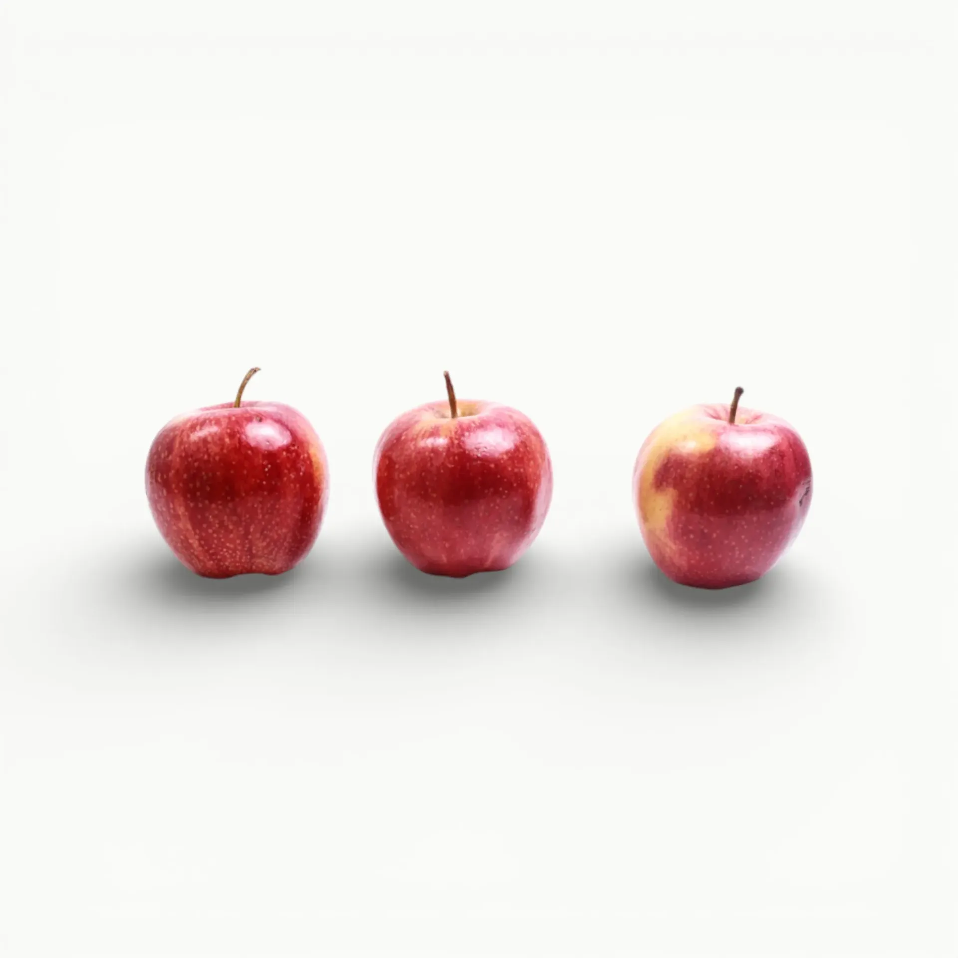 [FR037] MANZANA GALA AMERICANA