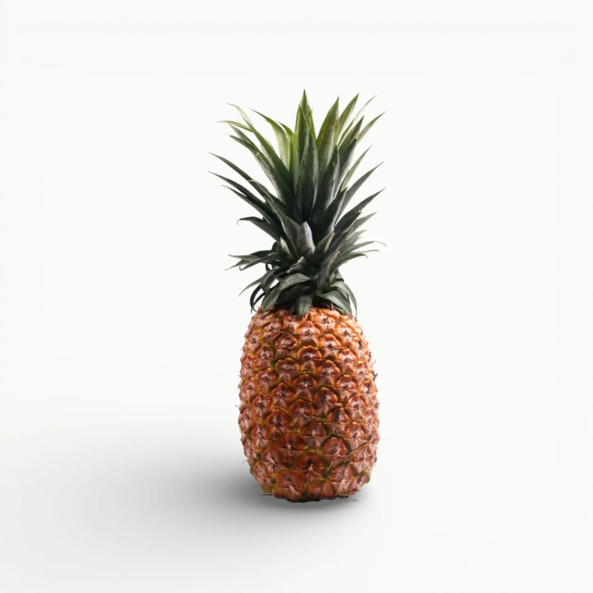 PIÑA DE CLASE