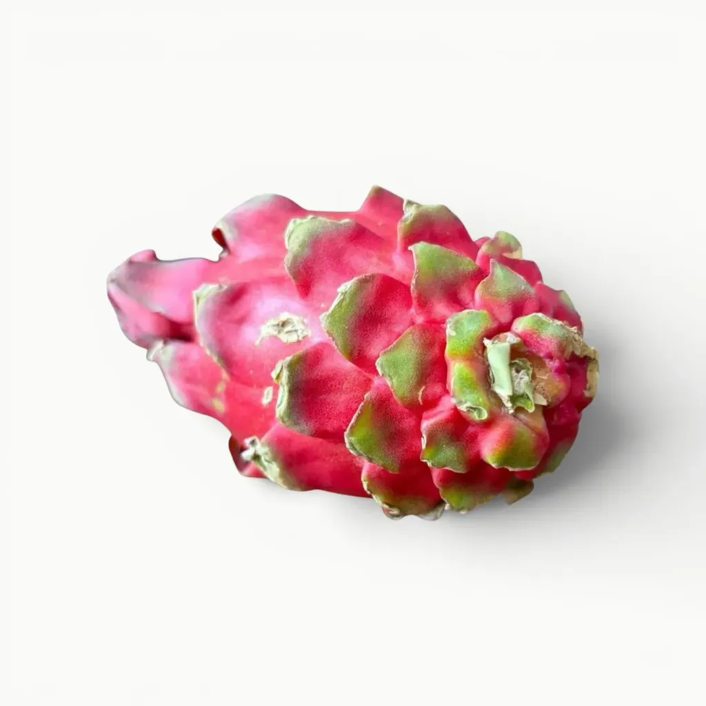 [FR102] PITAHAYA