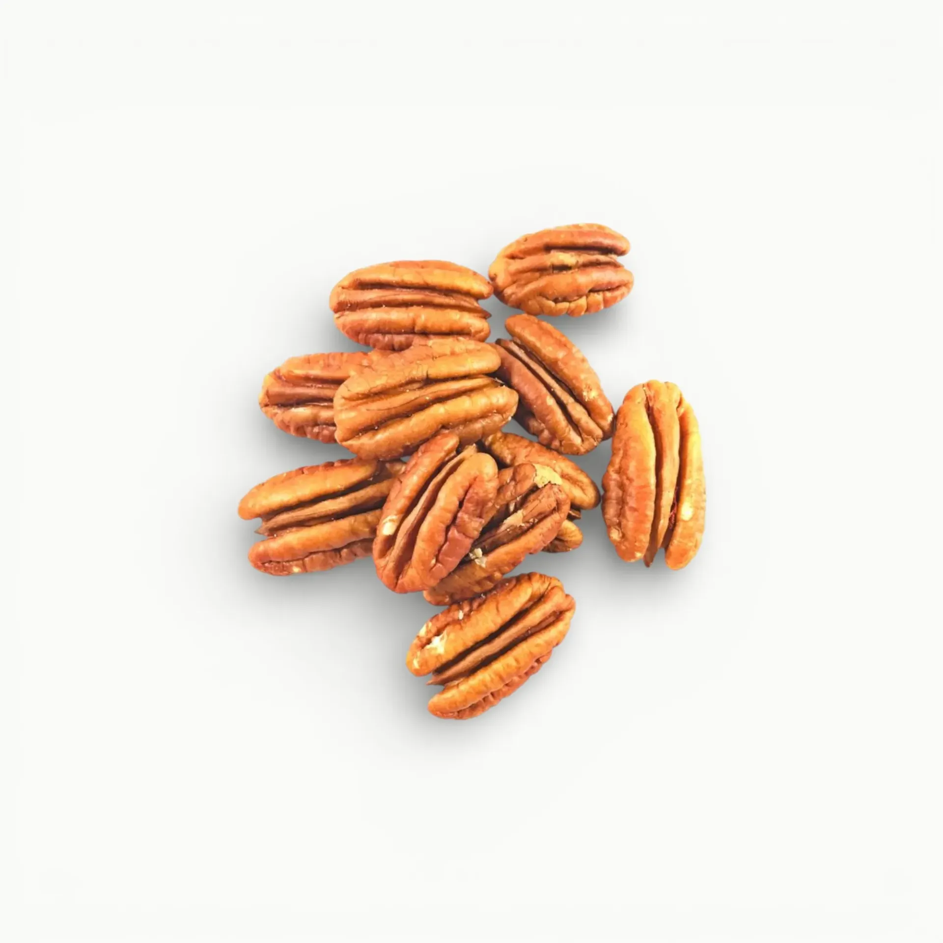 [SC068] NUEZ ENTERA