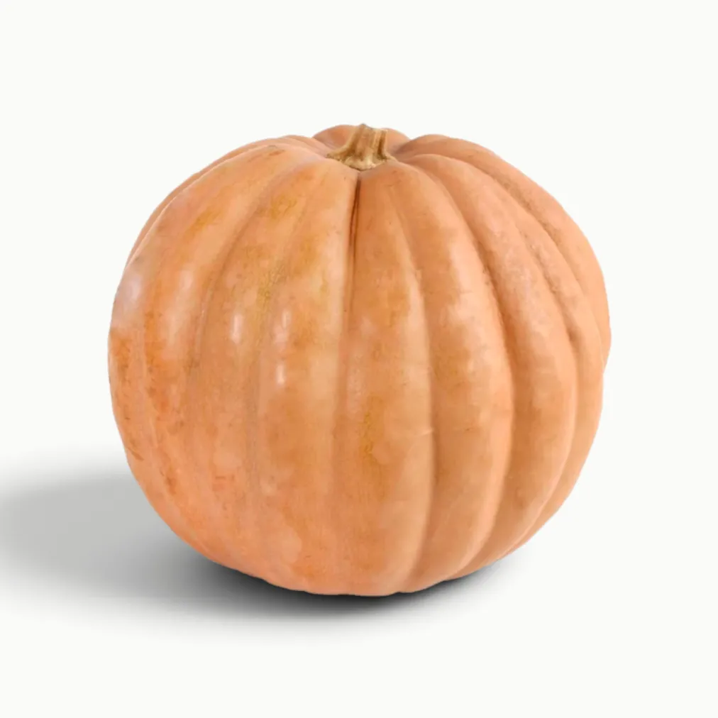CALABAZA DE CASTILLA 3 KILOS