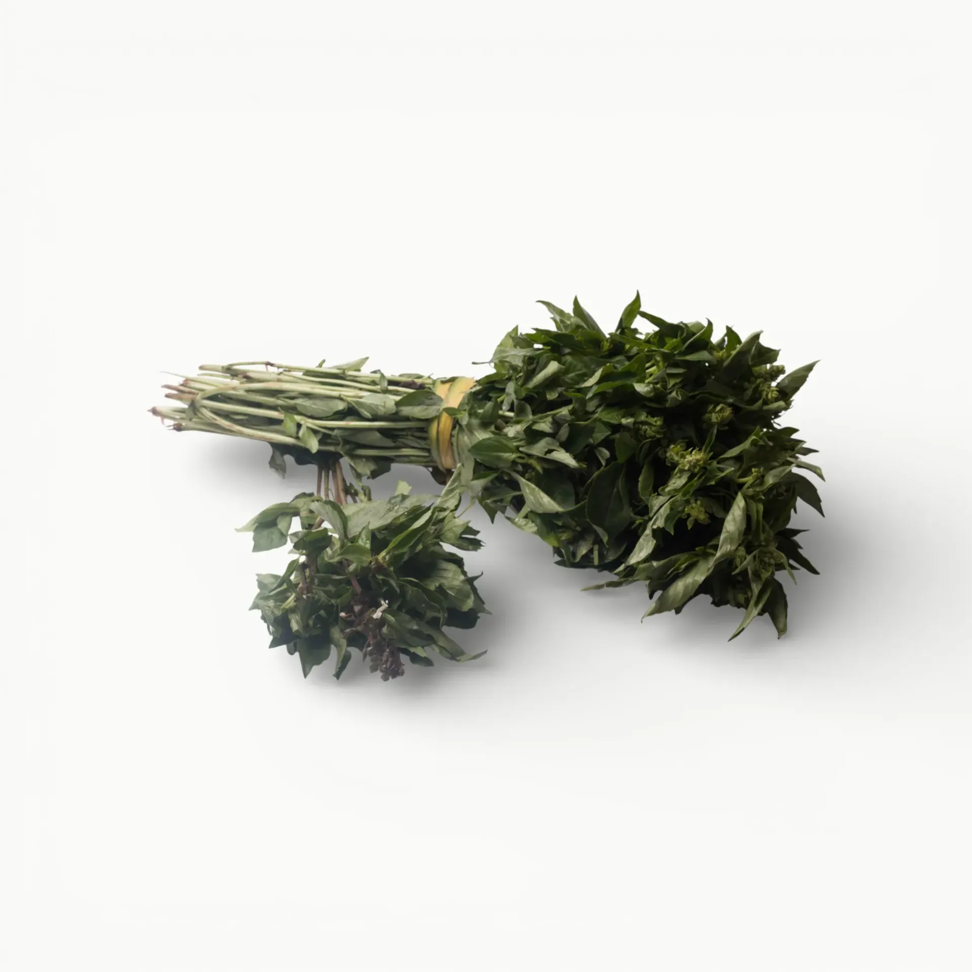 [VR231] ALBAHACA 100 G