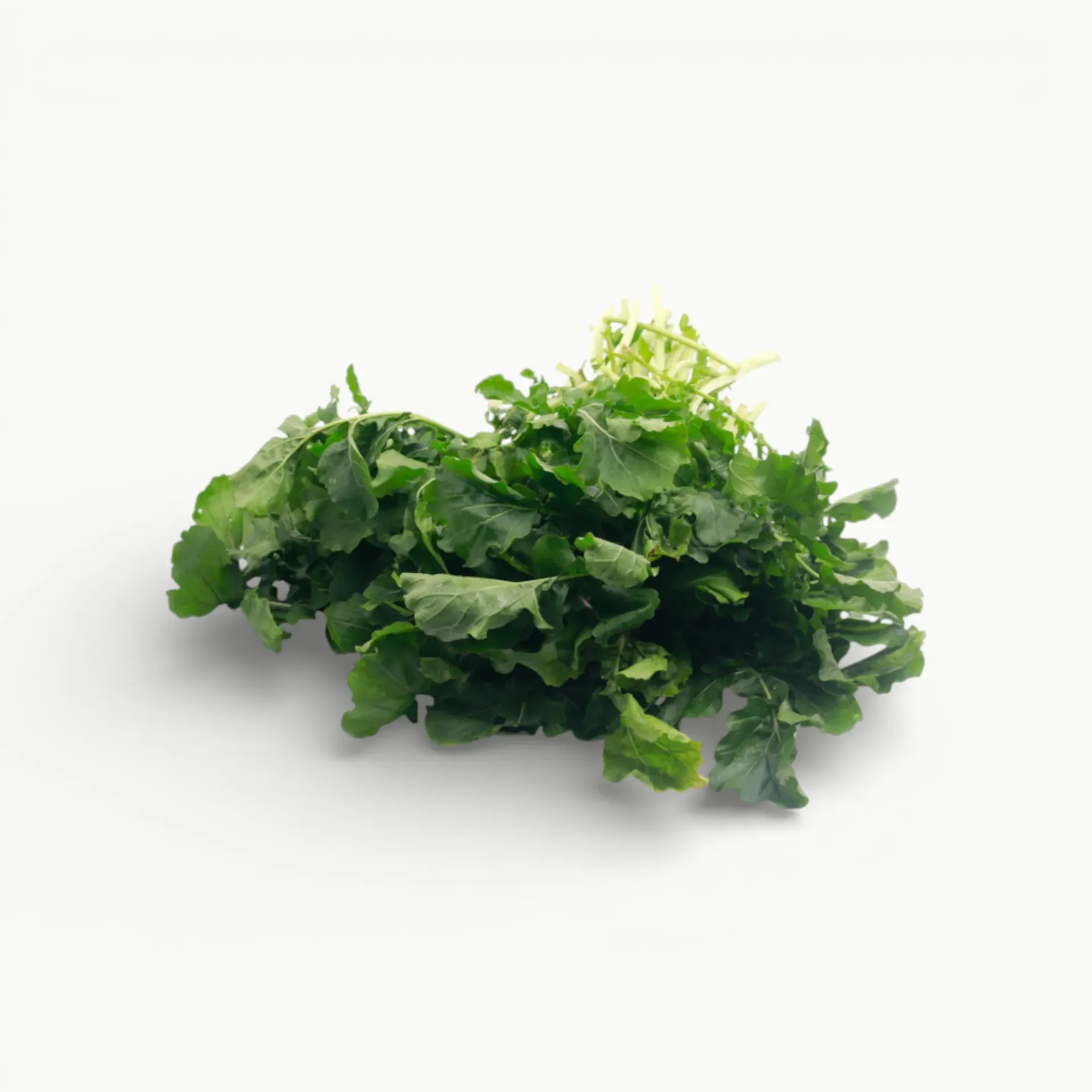 [OOS79] ARUGULA 100 G