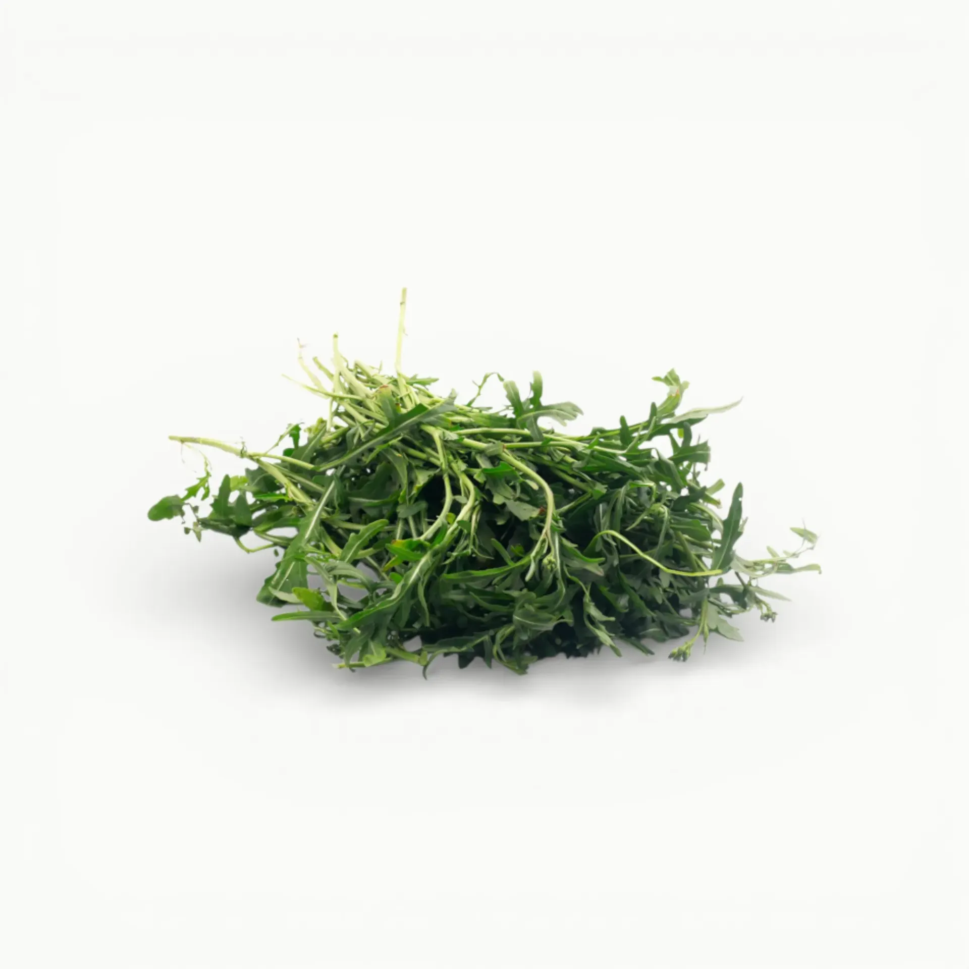[OOS80] ARUGULA BABY 100 G