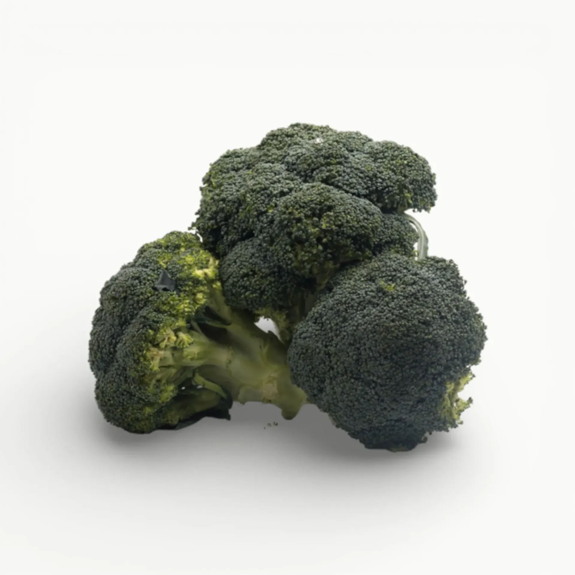 [VR028] BROCOLI