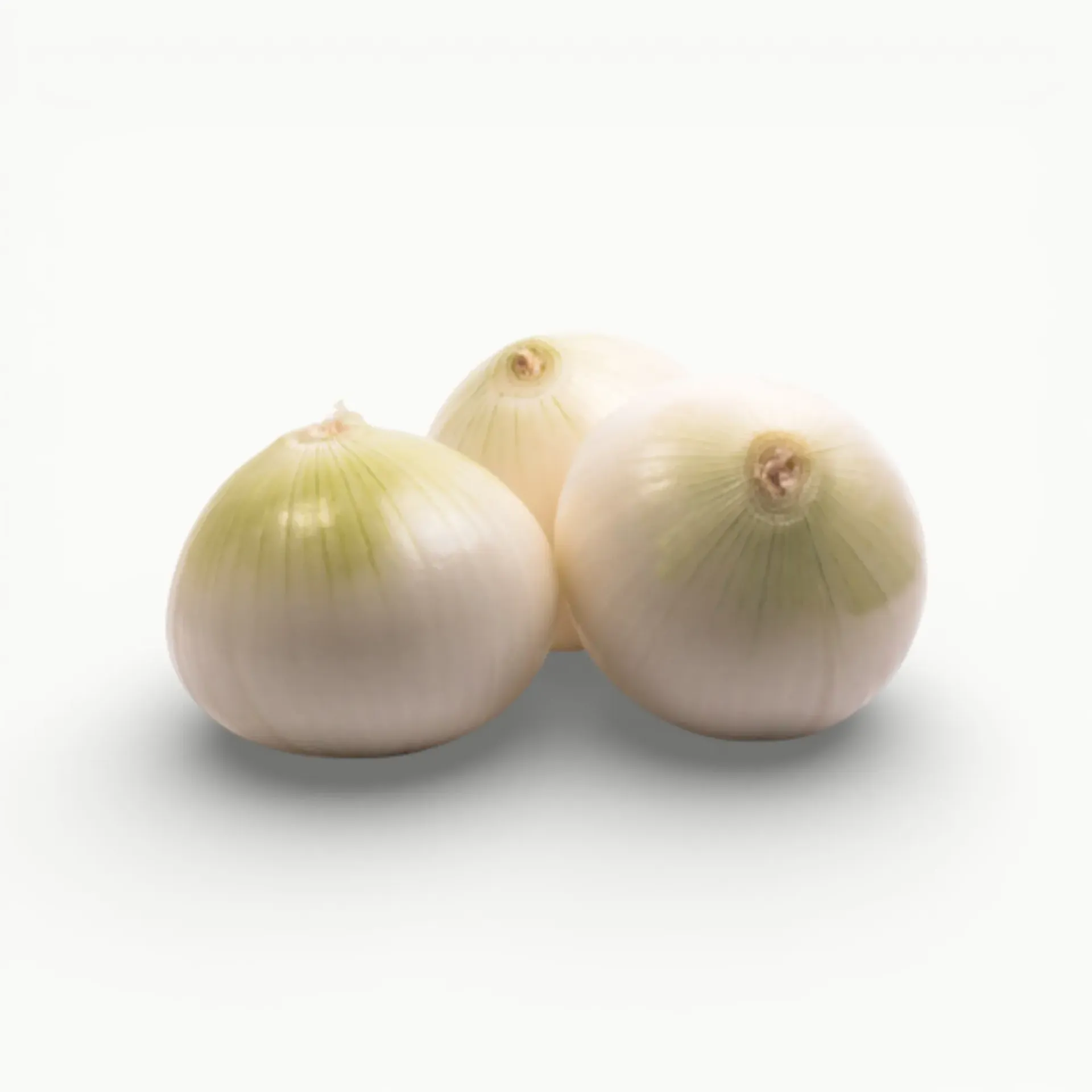 [VR036] CEBOLLA BLANCA LIMPIA