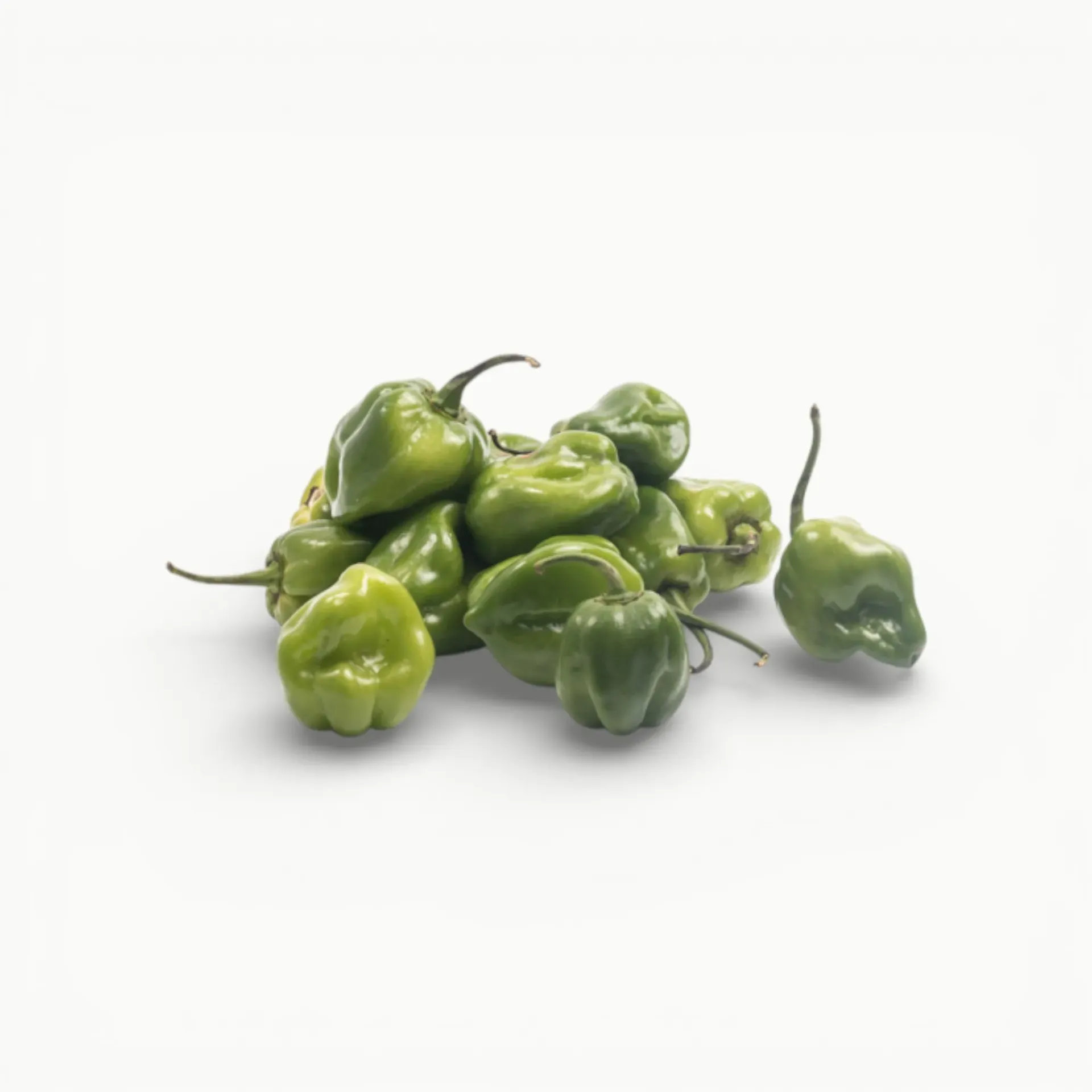 [VR053] CHILE HABANERO VERDE