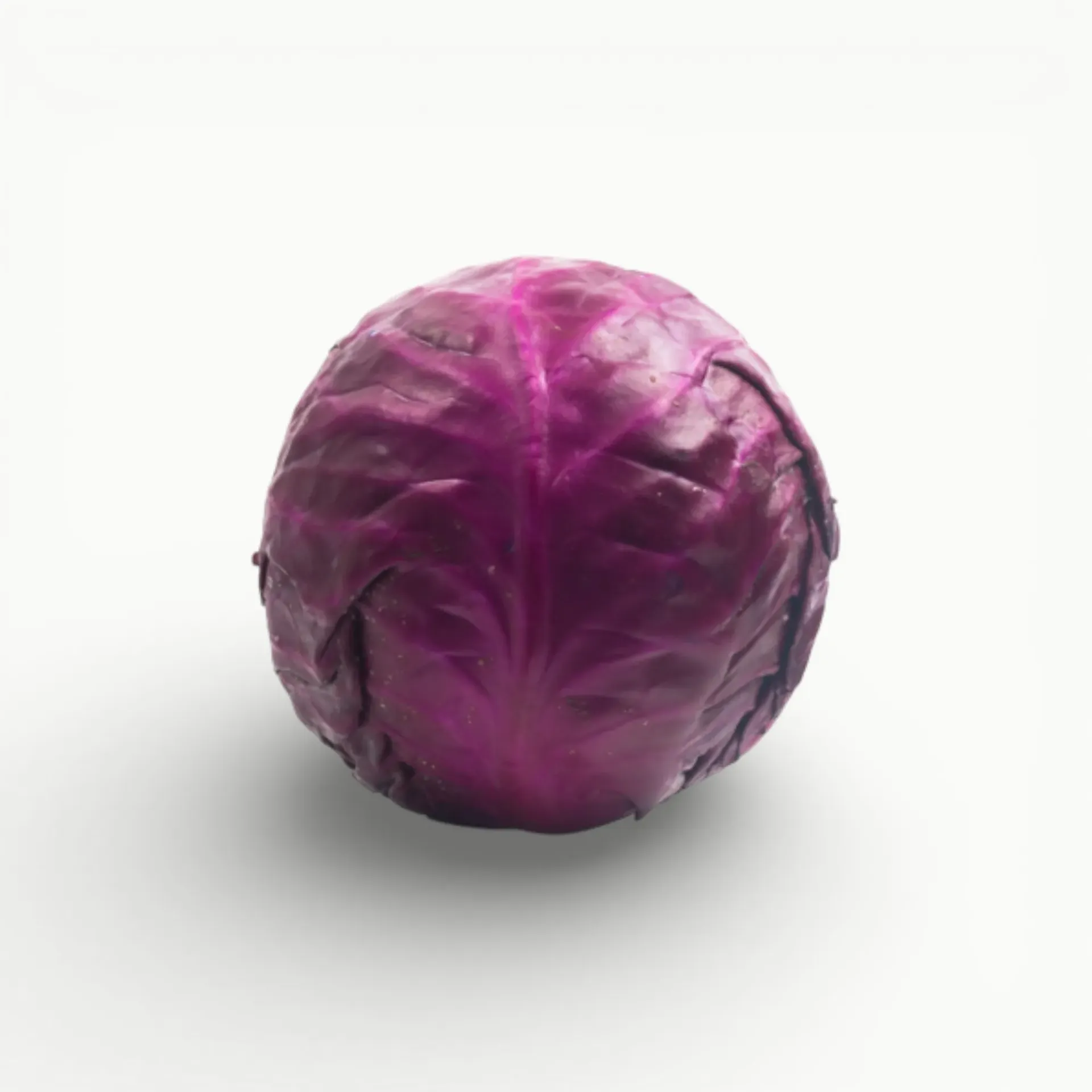 [VR064] COL MORADA MED