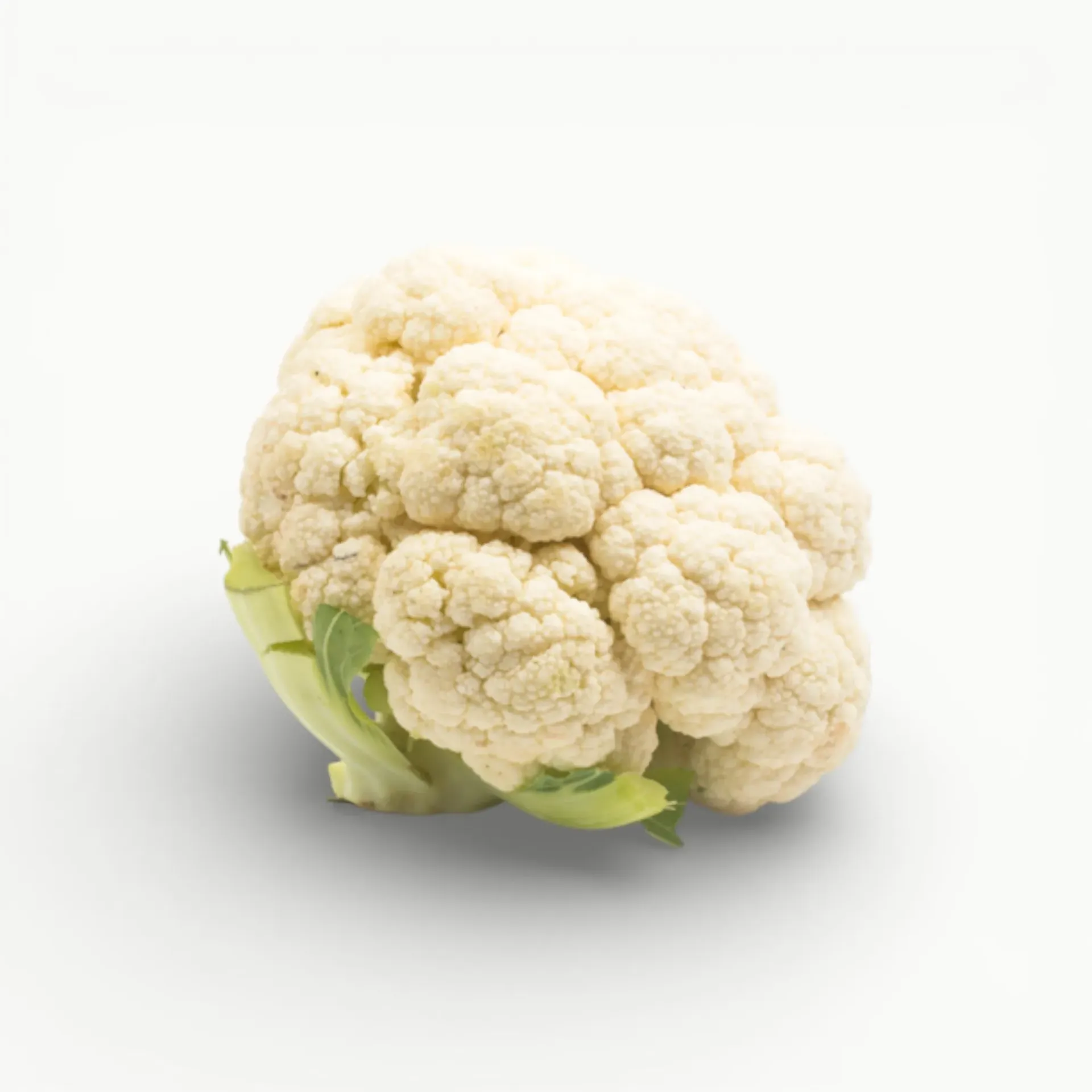 [VR066] COLIFLOR