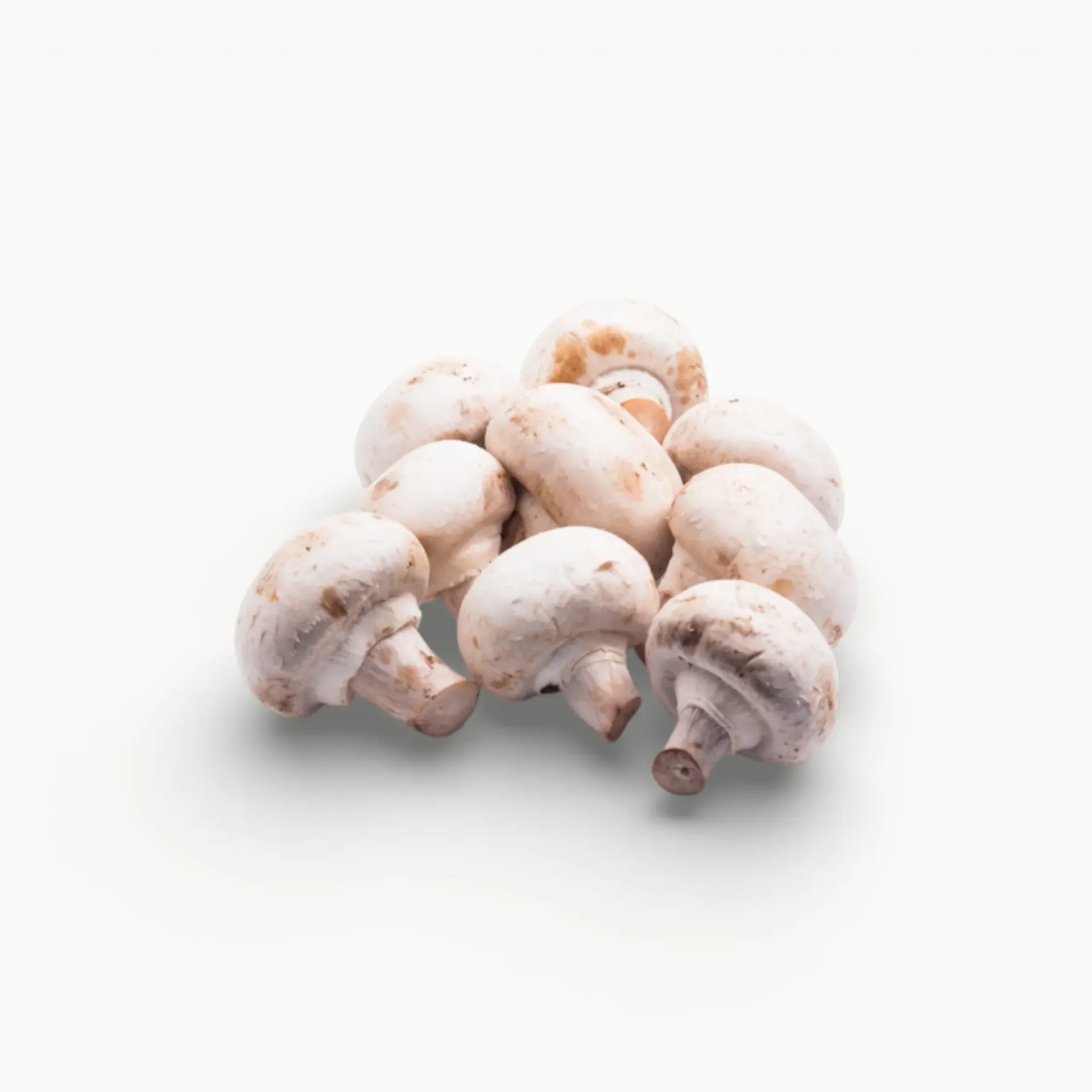 [VR188] DOMO CHAMPIÑON BLANCO 225 G