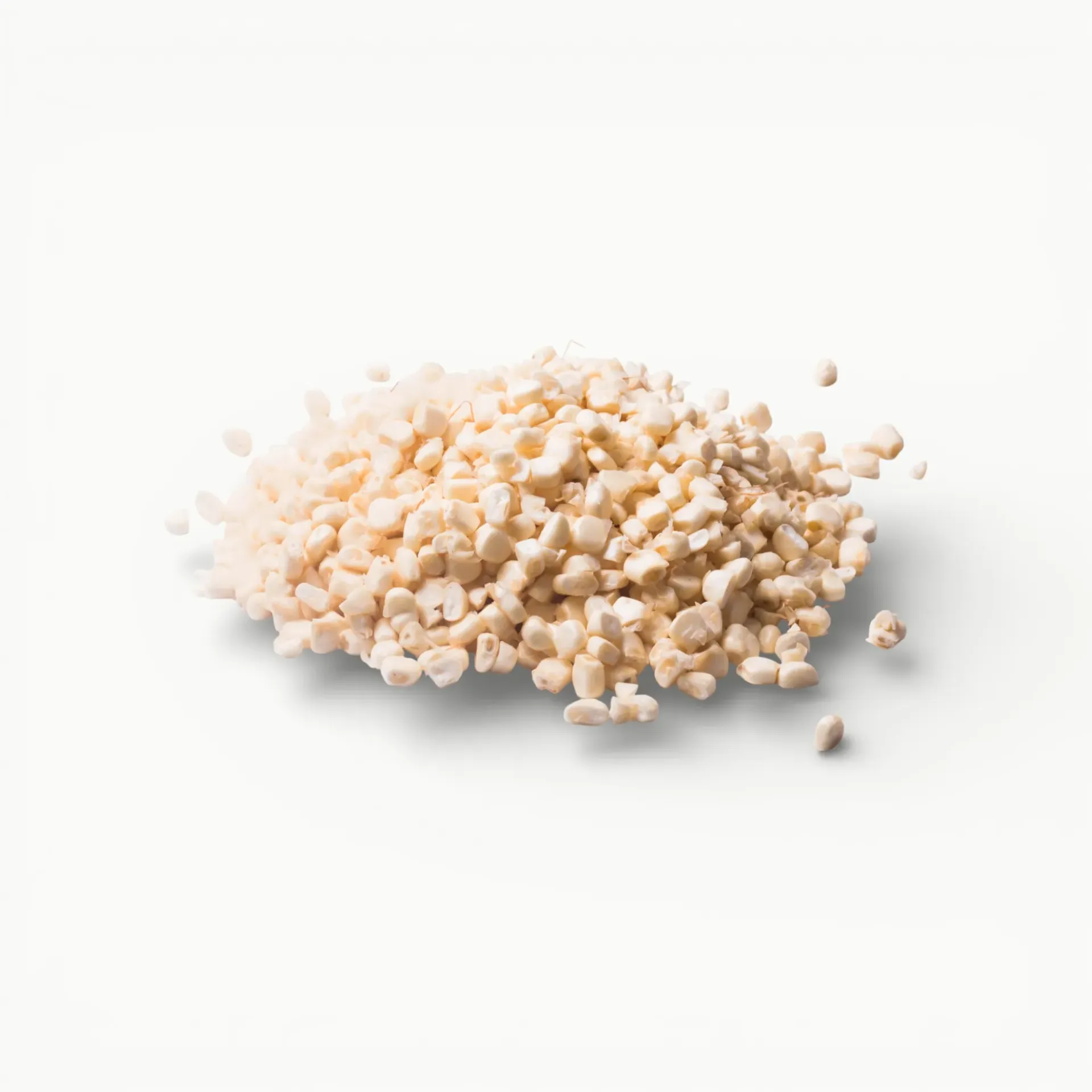 [VR070] ELOTE EN GRANO