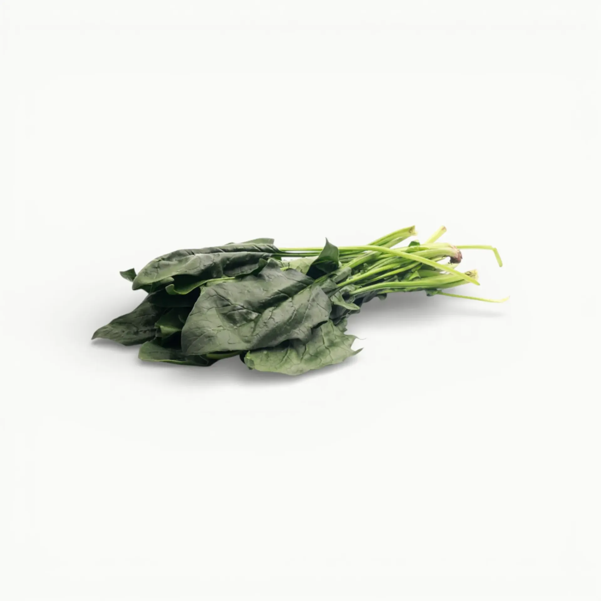 ESPINACA 100 GRS
