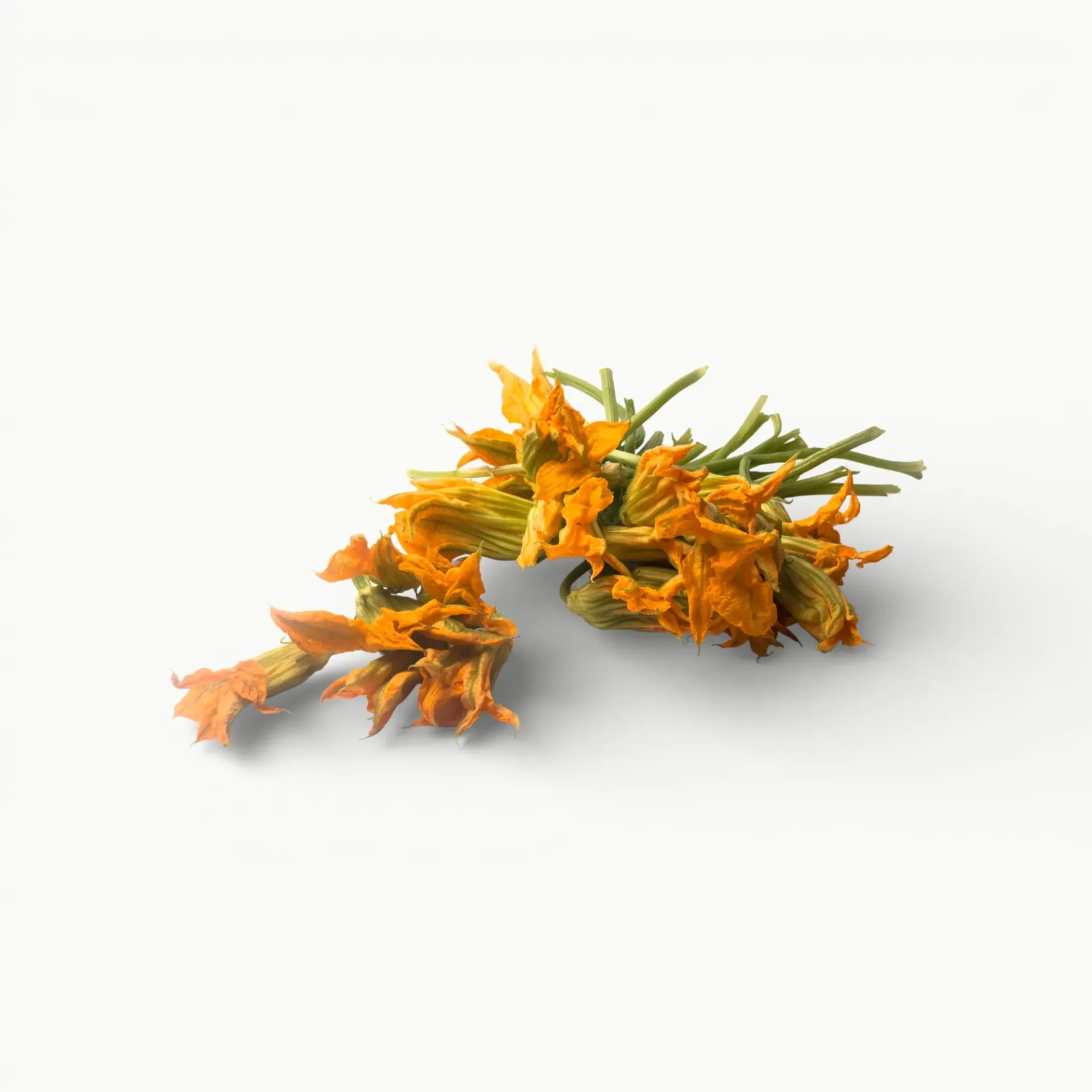 FLOR CALABAZA 250 GRS