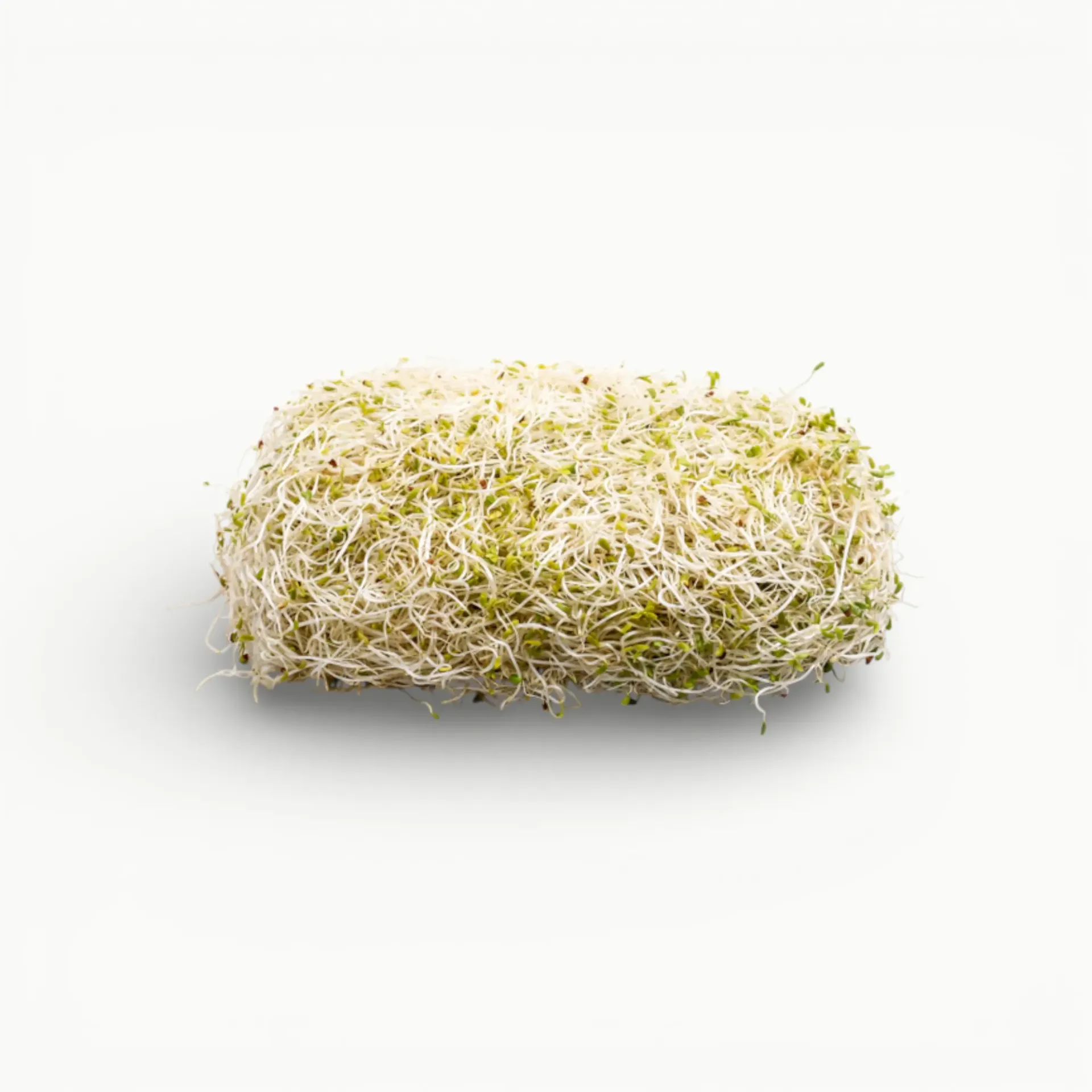 [VR195] GERMEN DE ALFALFA 250 GRS
