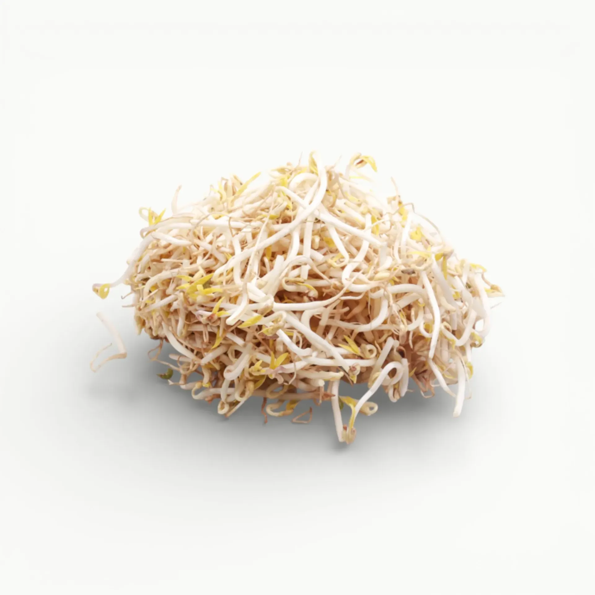 GERMEN SOYA 250 GRS