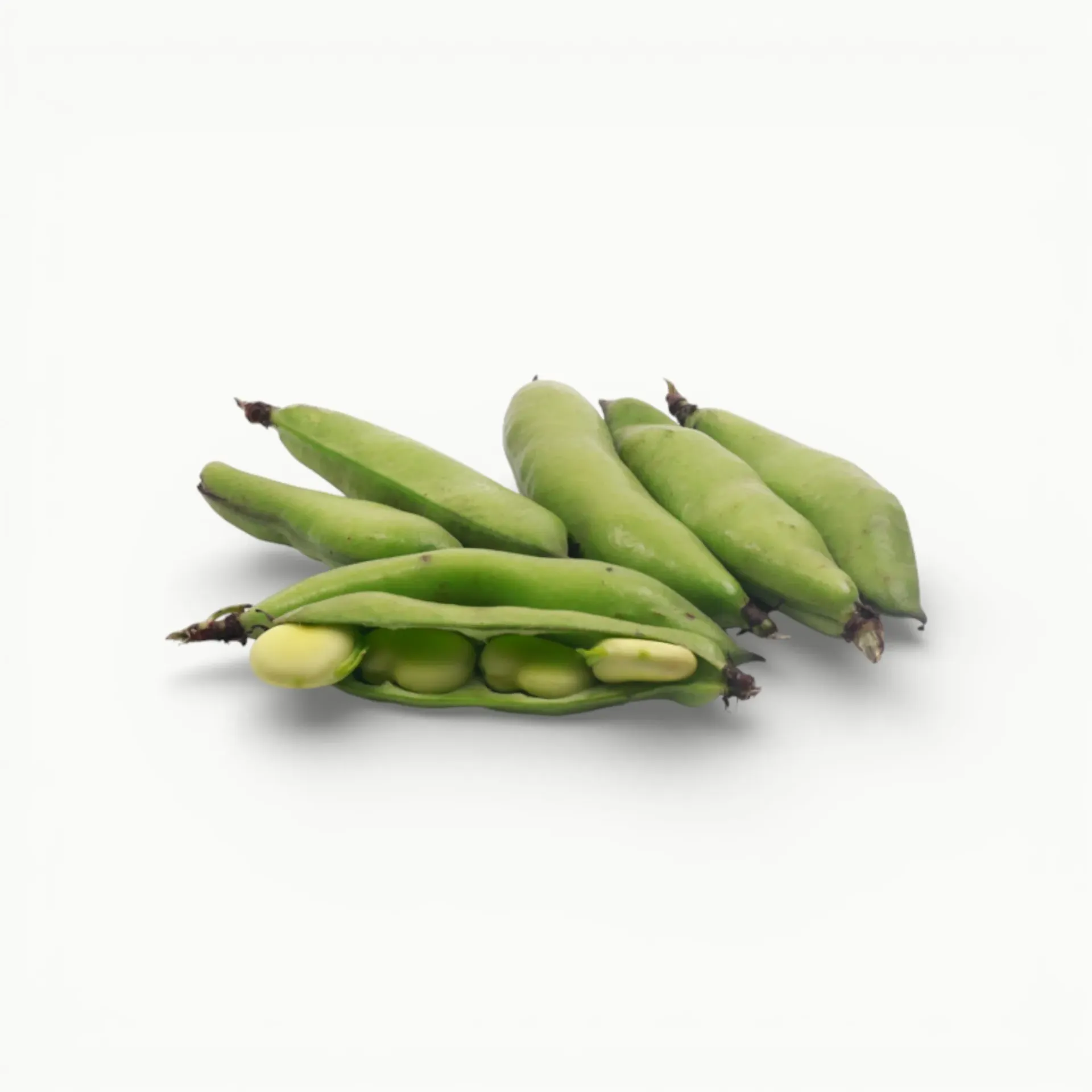 HABA VERDE