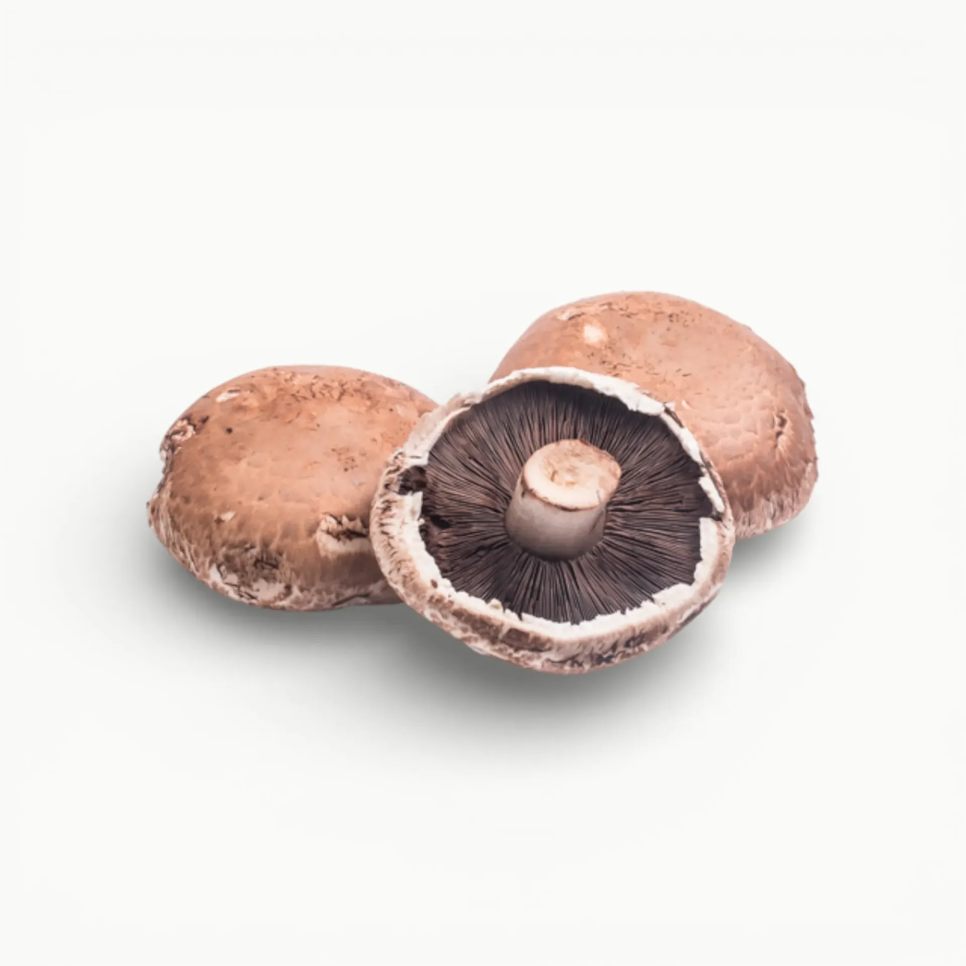 [OOS96] HONGO PORTOBELLO 500 GRS