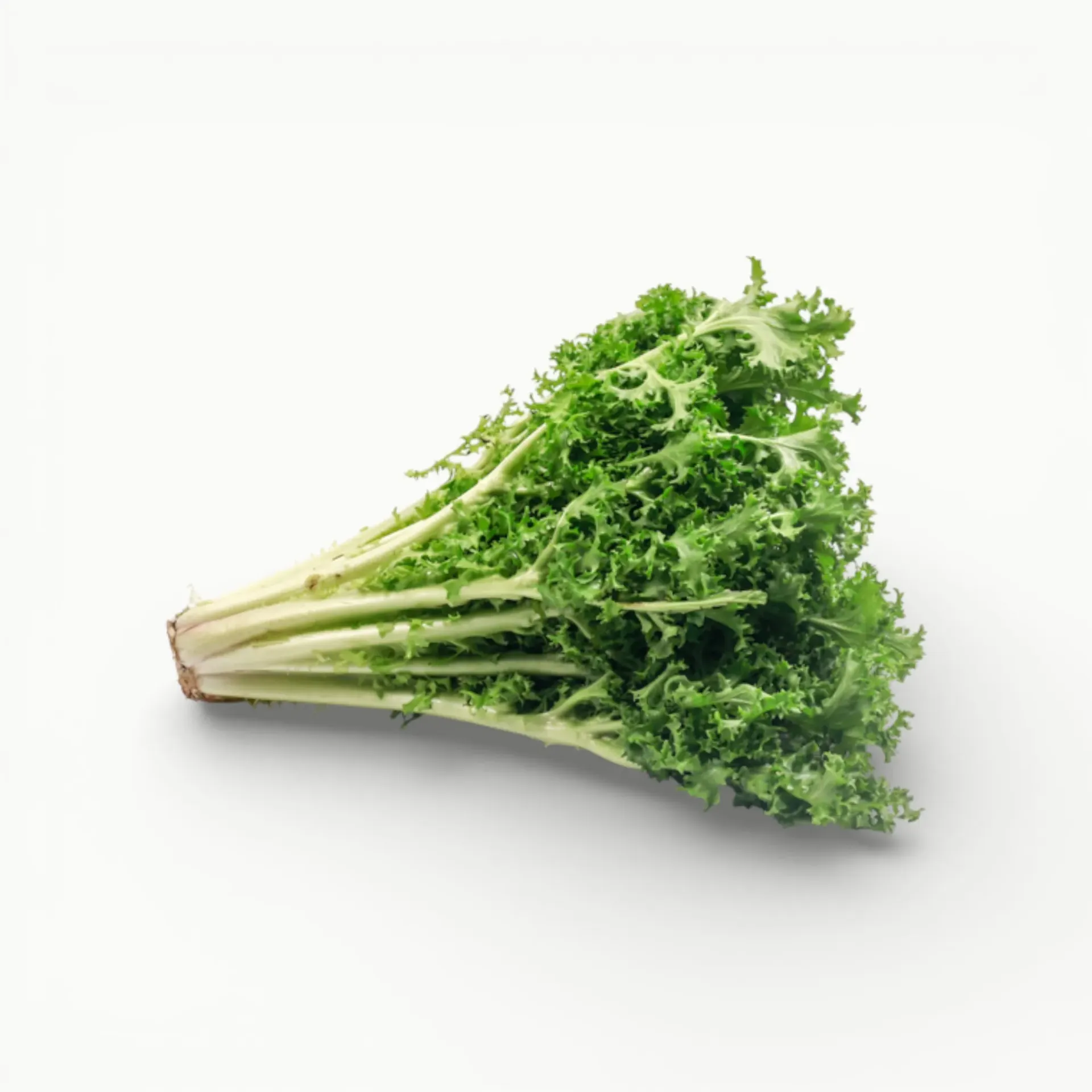 LECHUGA ESCAROLA