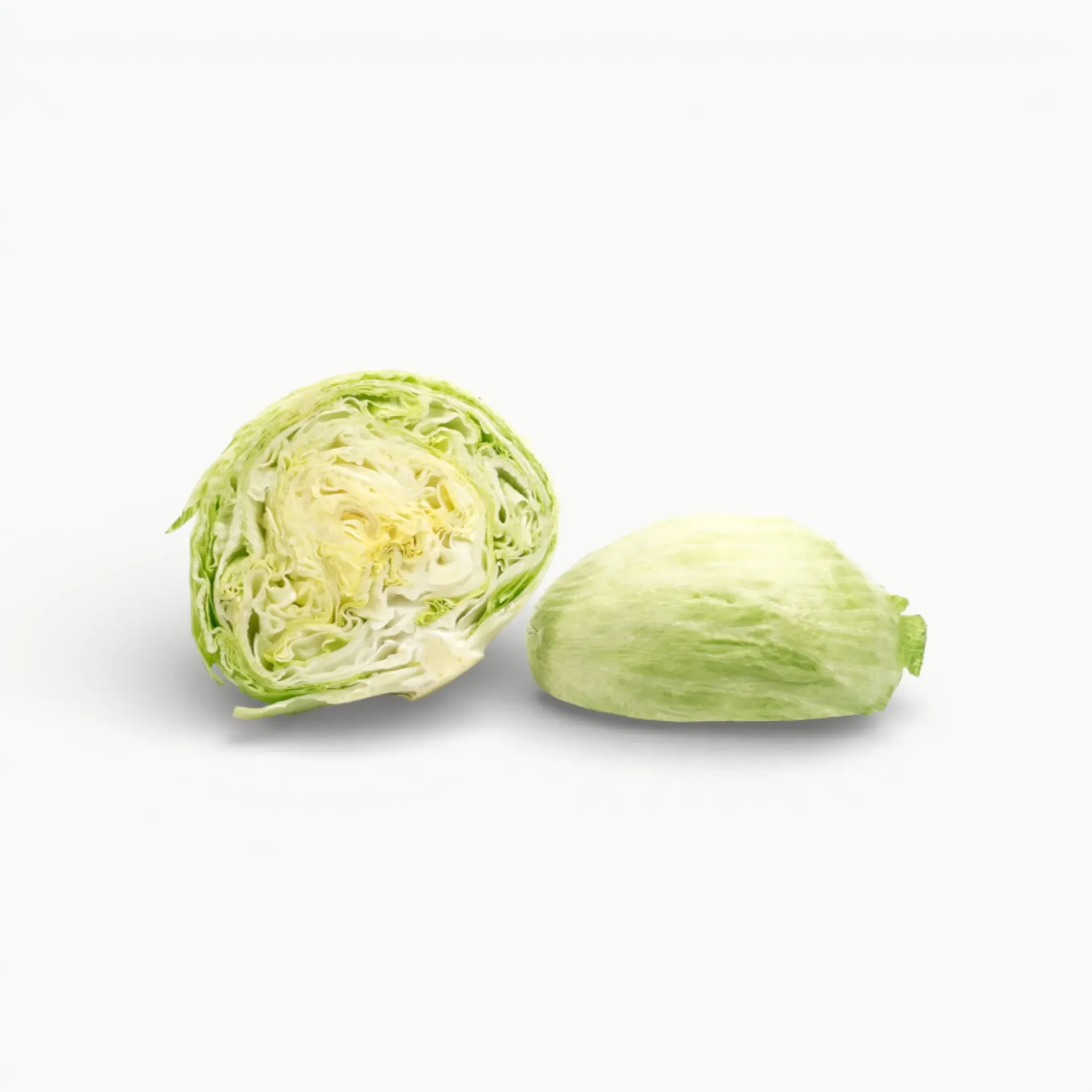 [VR120] LECHUGA ROMANA GDE