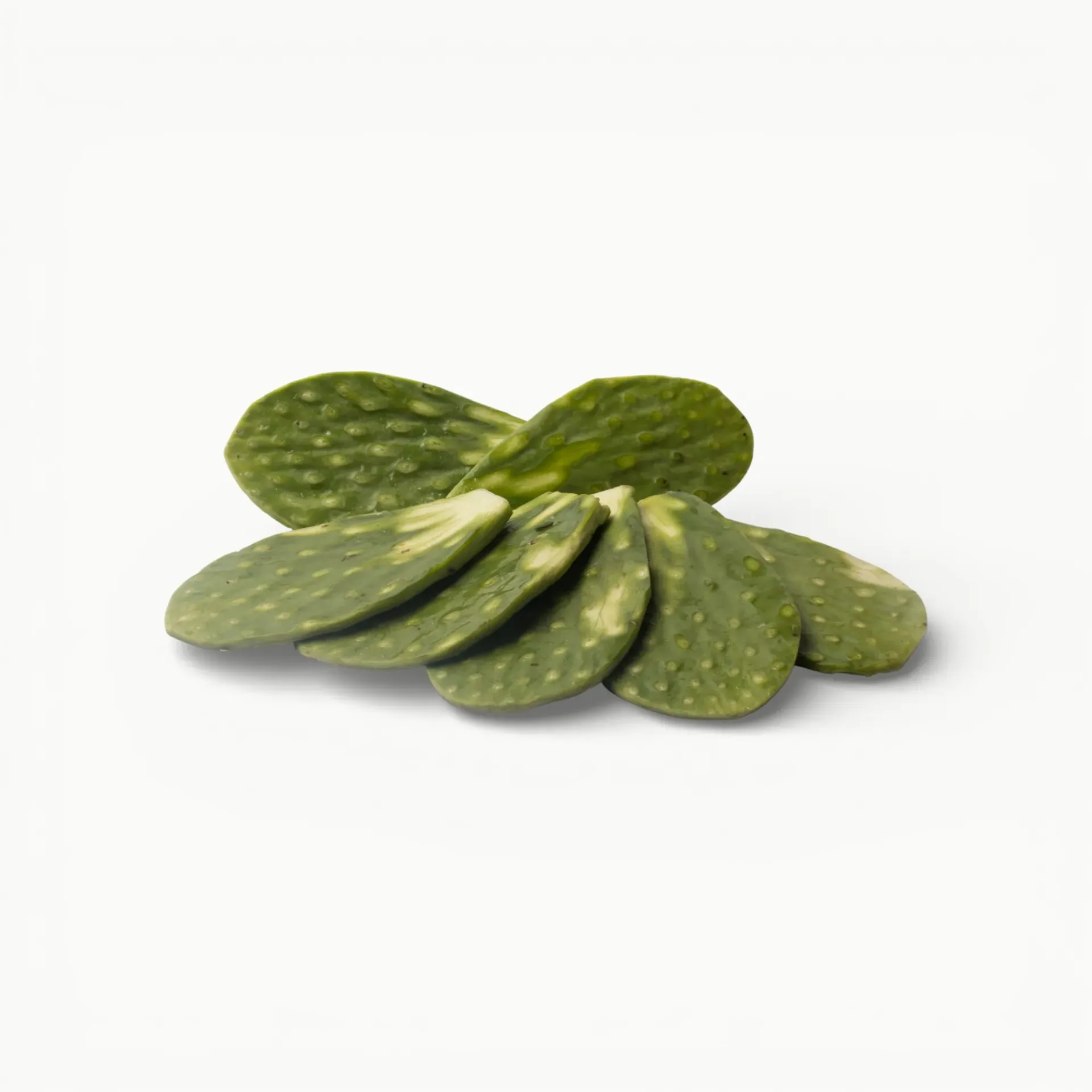 [VR126] NOPAL CAMBRAY