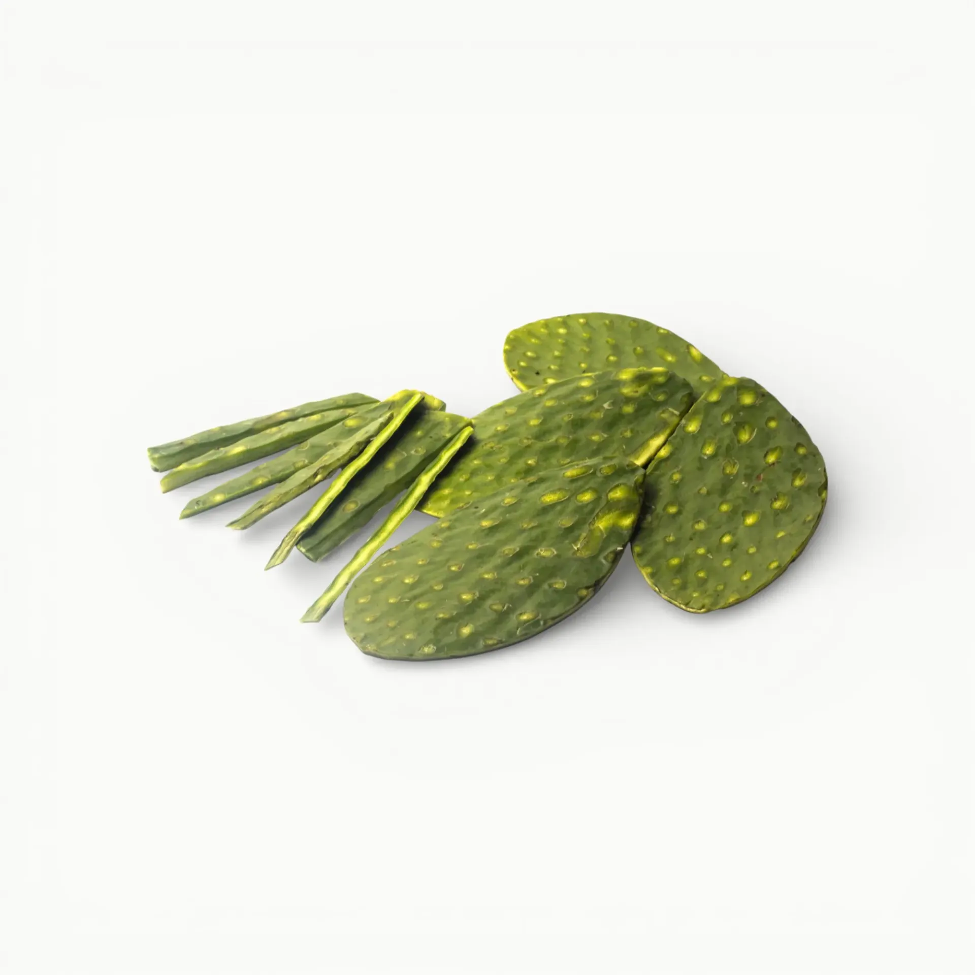 NOPAL LIMPIO