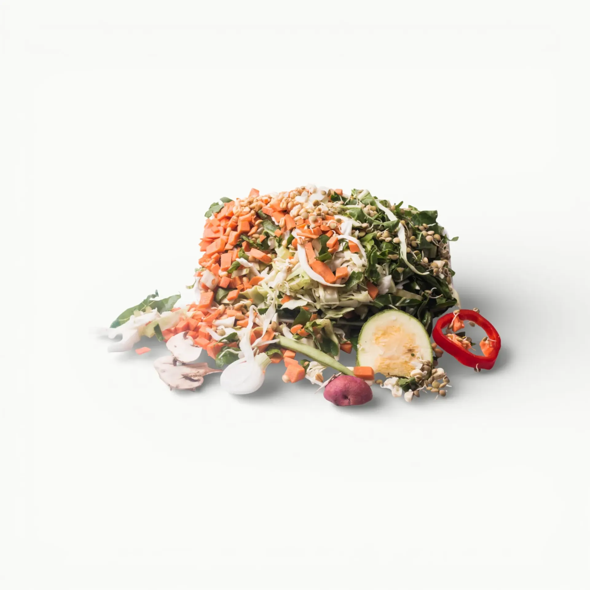 SOPA DE VERDURAS 500 GRS
