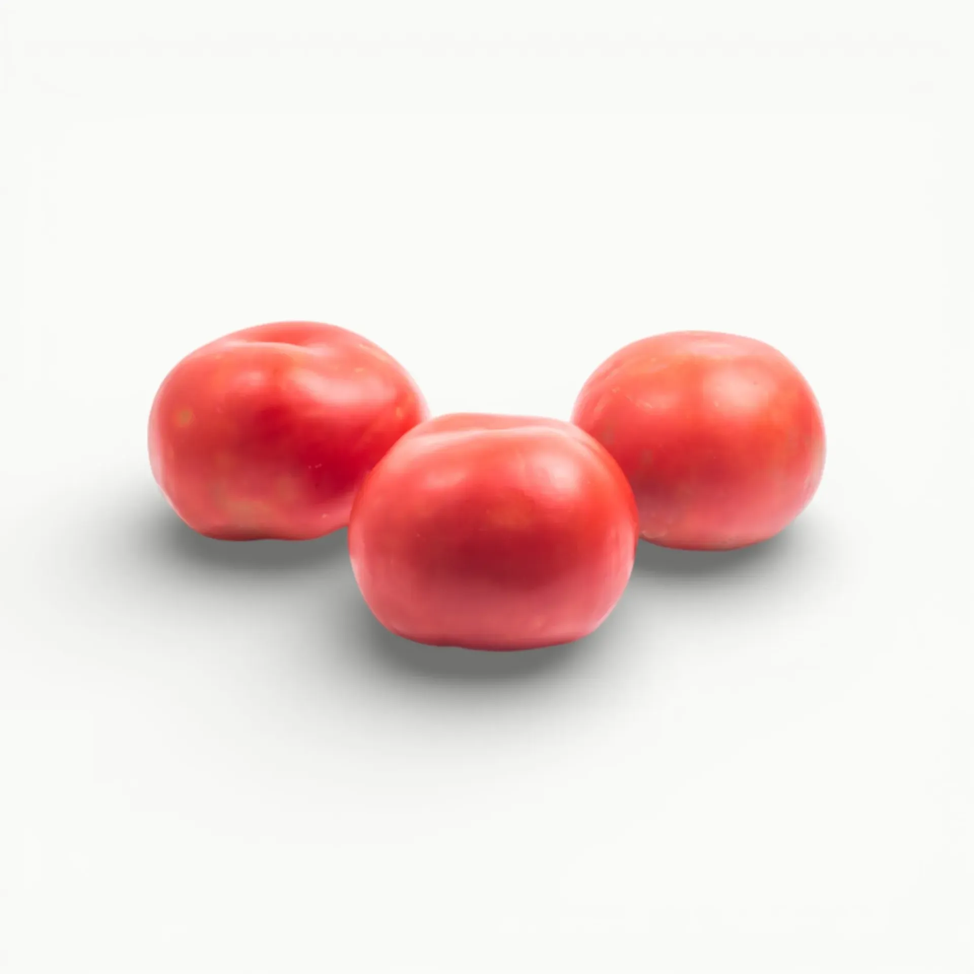 JITOMATE BOLA