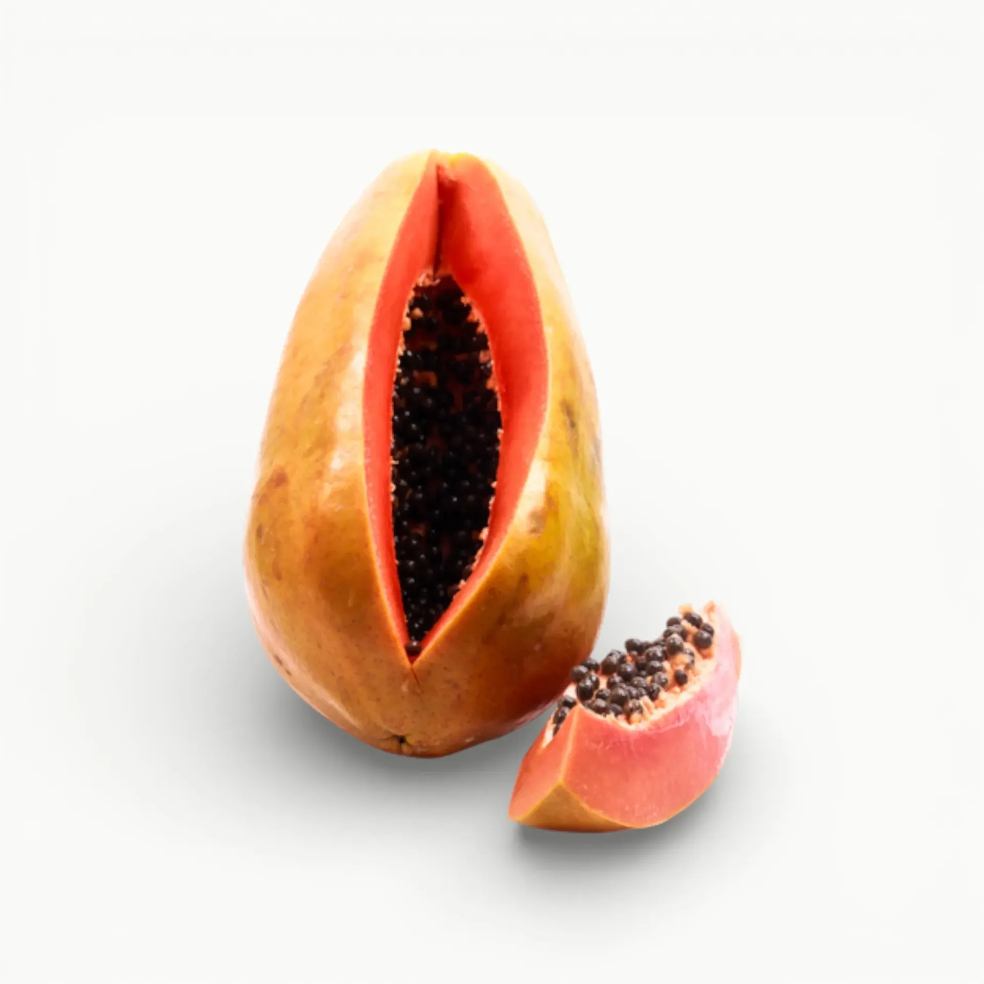 PAPAYA MARADOL (Maduro)