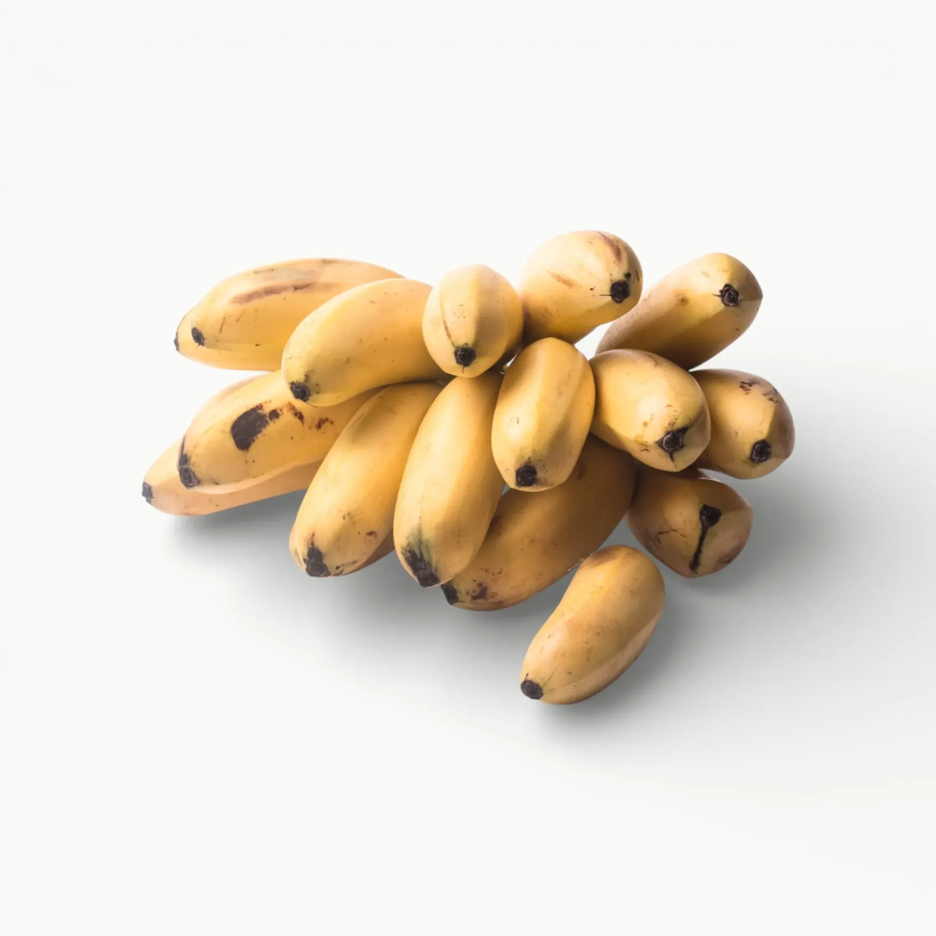 PLATANO DOMINICO